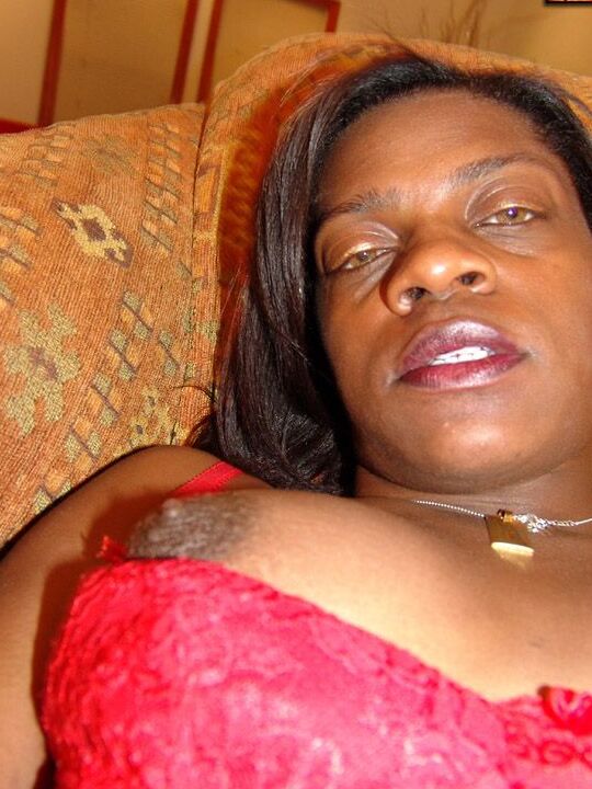 16P Preto TGirls Moka