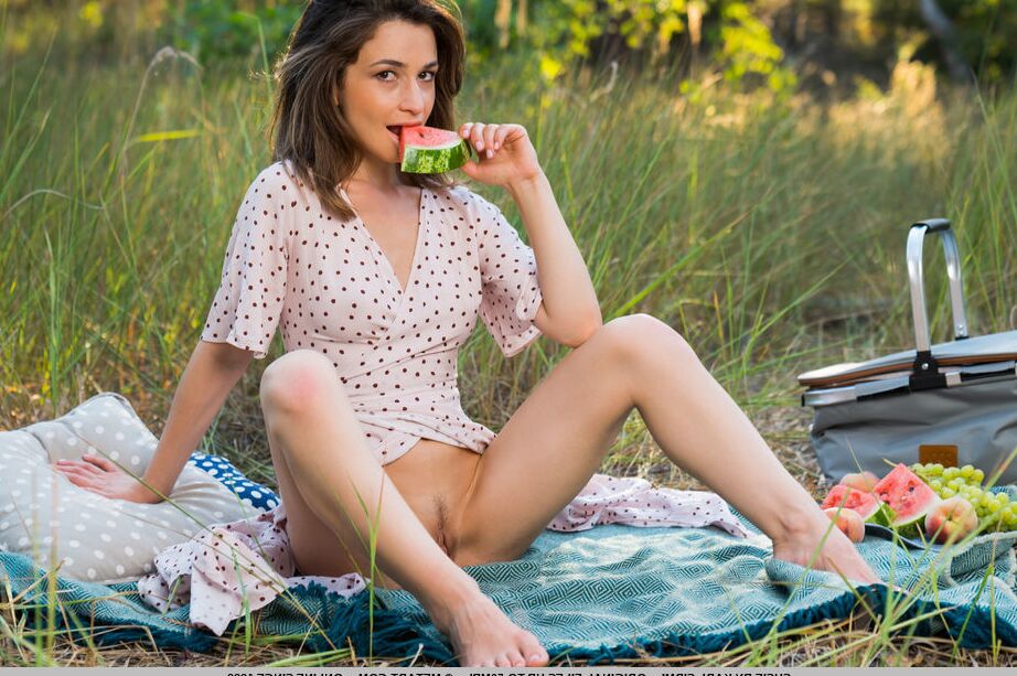 18P Petite teen Susie gets naked on a blanket while having a picnic