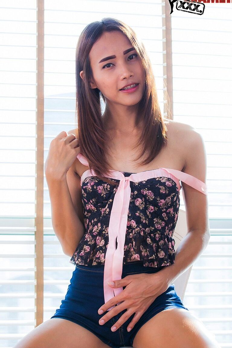 16P TGirls XXX Vison