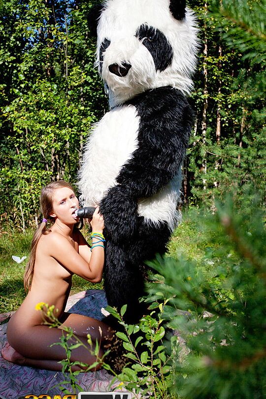 16P Young girl Penny gets banged by a Panda on a boulder near the woods