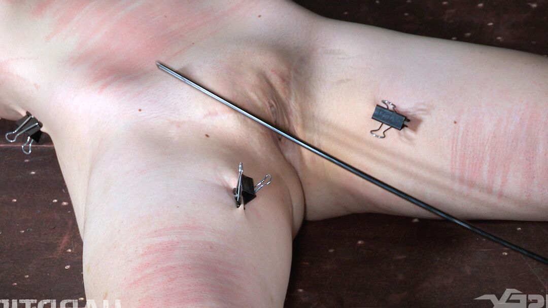 14P Blossom, une fille geek, endure la torture pendant une action de domination lesbienne