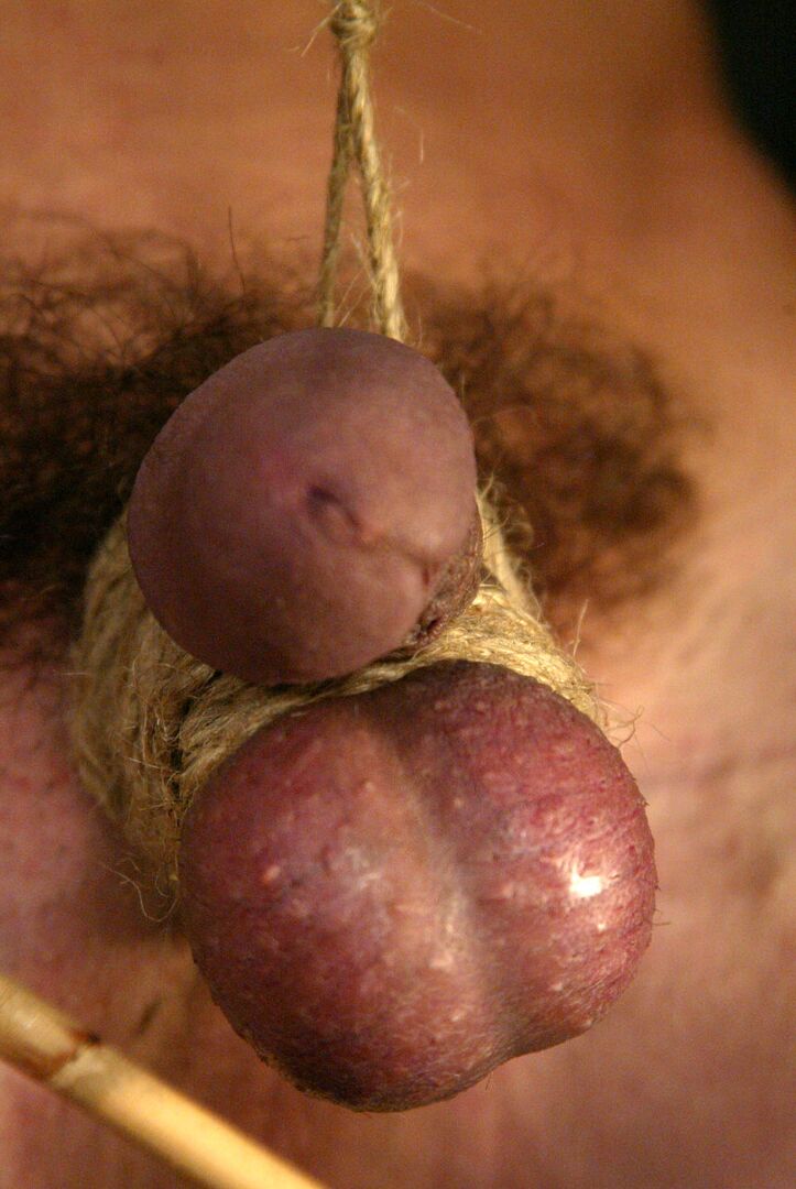 21P Men In Pain Flower Tucci, Stevo