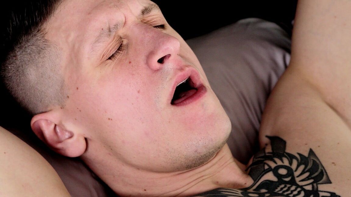 21P Hübsche Hengste Dalton Riley