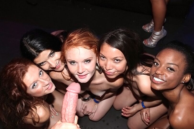 Façanha de festa selvagem 16P. 