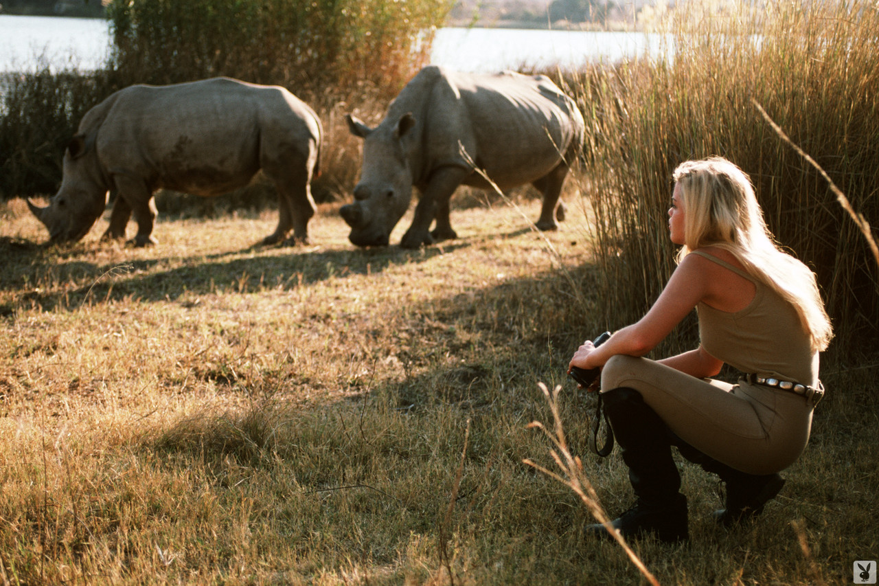 Las muñecas Playboy de 17P se desnudan y muestran sus cuerpos asesinos durante las aventuras de Safari