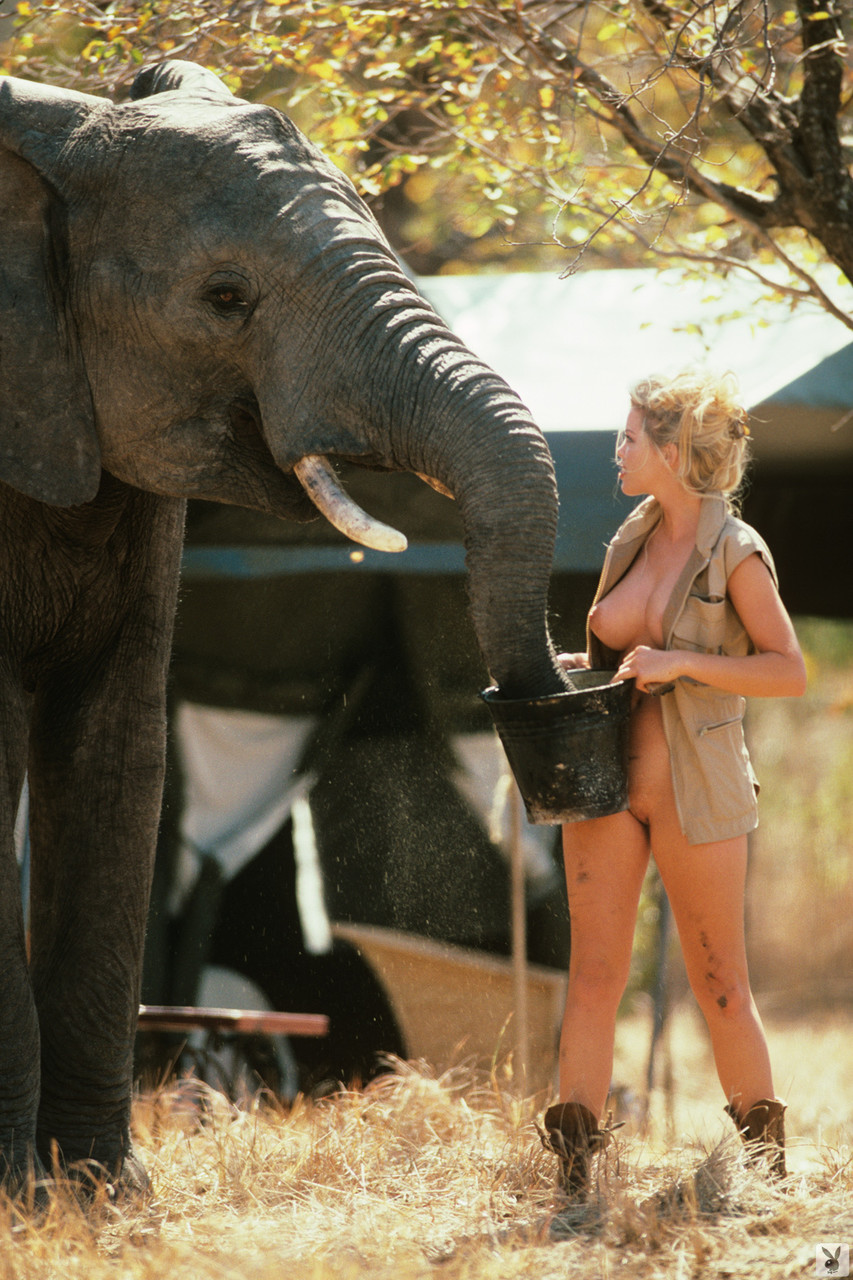 Las muñecas Playboy de 17P se desnudan y muestran sus cuerpos asesinos durante las aventuras de Safari