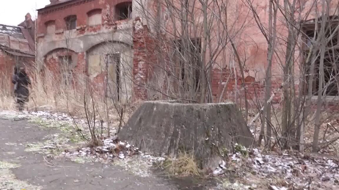 15P Naughty European squats on a tree stump and pees