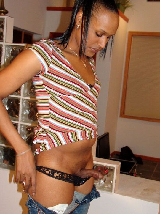 16P Preto TGirls Tamia