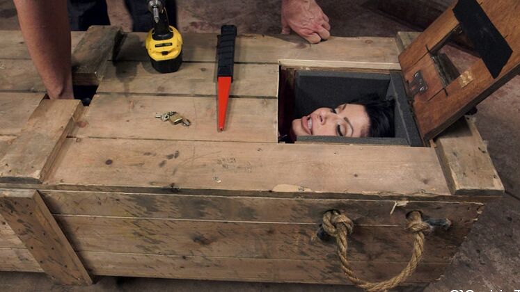 15P Busty brunette slave is freed from a trunk before sex in bondage