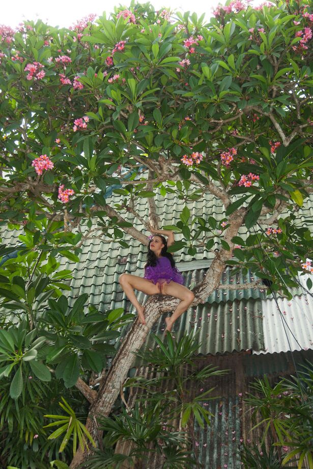 16P Young brunette Mirela A climbs a tree in a purple tutu skirt
