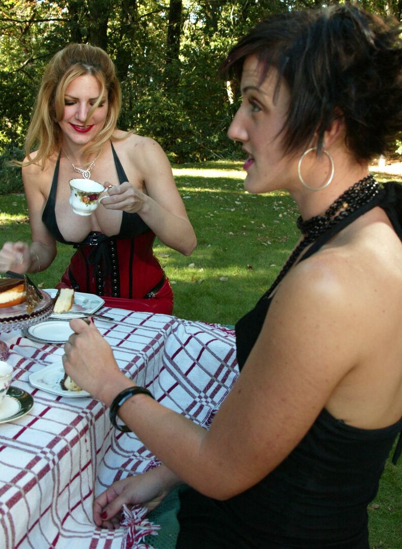 17P Kinky housewives line up for machine sex at a picnic table after tea and cakes
