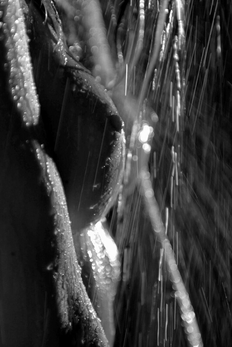 15P Em um canto decadente do Caribe, a jovem loira se refresca sob uma chuva tropical