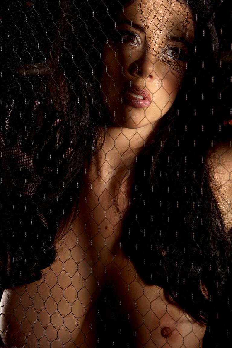 Jelena Jensen, mannequin 12P Centerfold, montre ses seins et sa chatte avec des gants et des bas.