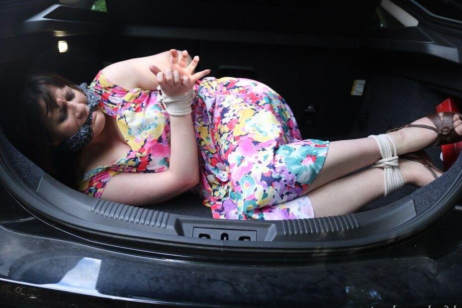 16P Black Fox Bound Car Boot Full
