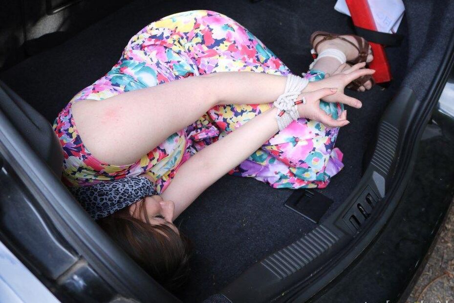16P Black Fox Bound Car Boot Full