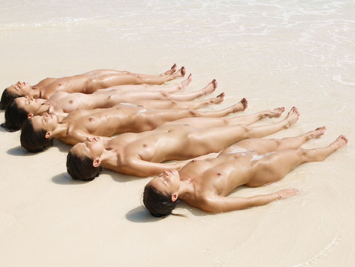 16P Eine Schar supersexy Centerfolds, die nackt posieren