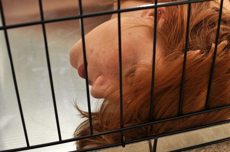 12P Scarlot Rose wird in einen Hundekäfig gesteckt, nackt ausgezogen und gebeten, um Erlaubnis gebeten zu werden