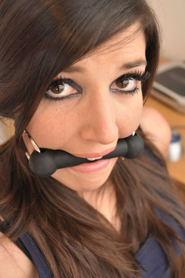 12P Bound and taped Sapphire is restrained at the office