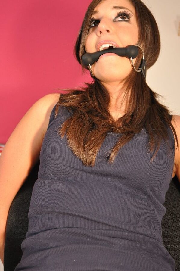 12P Bound and taped Sapphire is restrained at the office