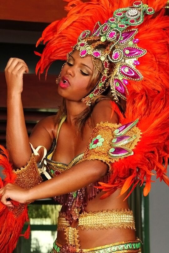 16P Close up posing scene featuring oiled Latina in a costume Anny