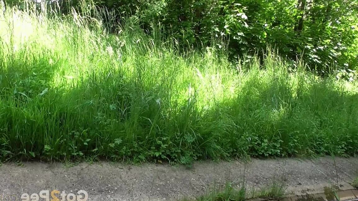 15P 歩道で小便をするためにしゃがむショート撮影の女の子アントニア・サインツ