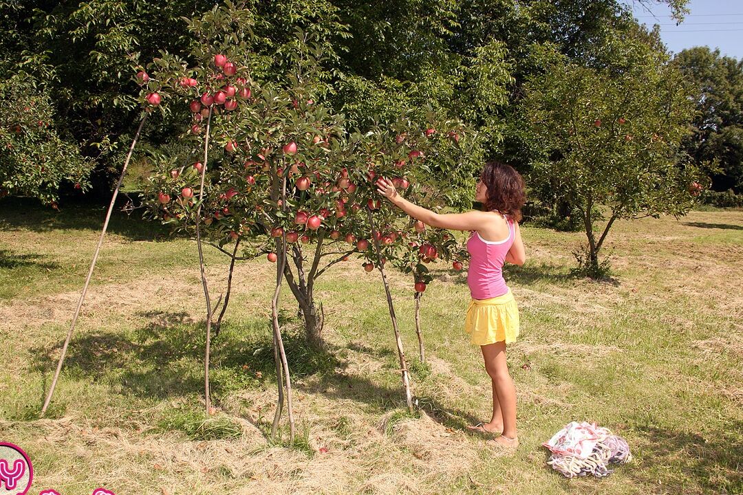 12P Adolescente de ébano tetona monta una polla después de recoger manzanas en el patio trasero