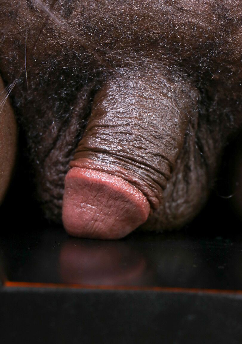 16P TGirl BBW Hennesy Dior