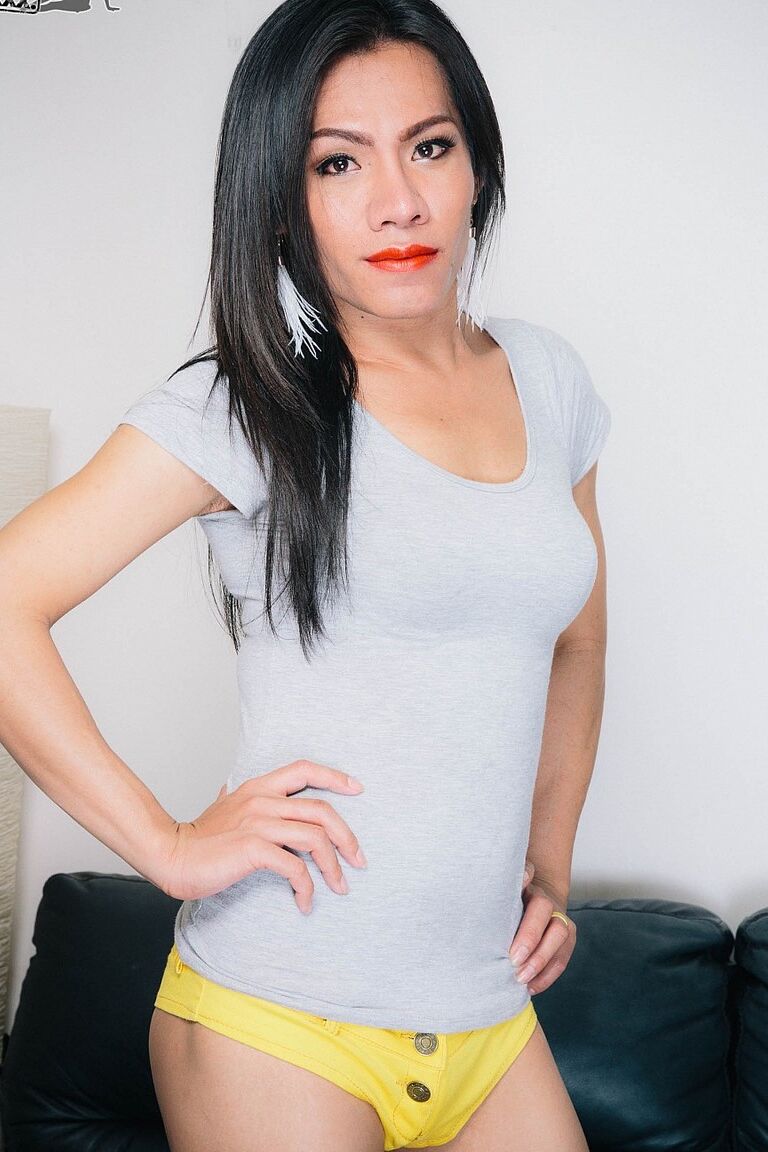 Panqueca TGirl Asiática 16P