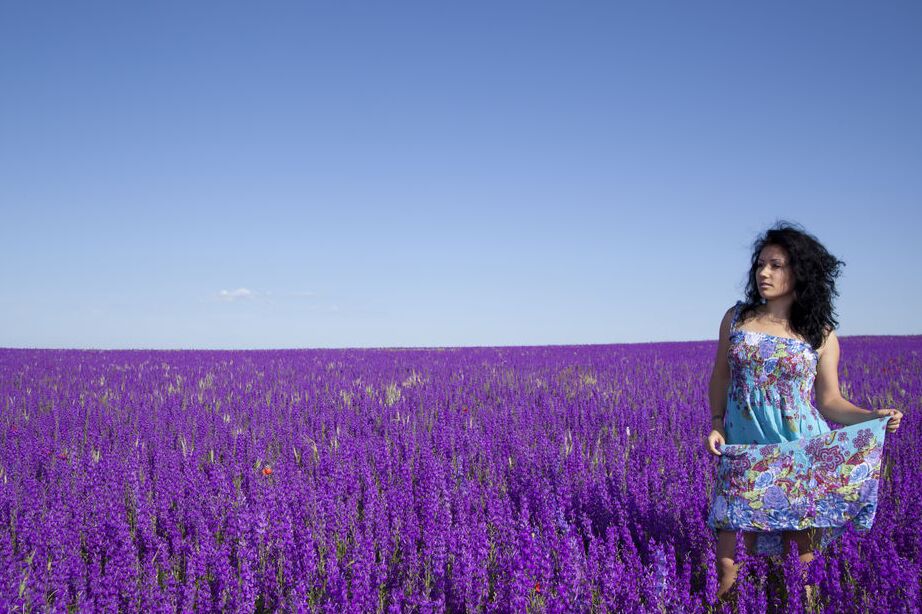 16P Curly haired Maliko looks stunningly dreamy on the field of lavender She slips