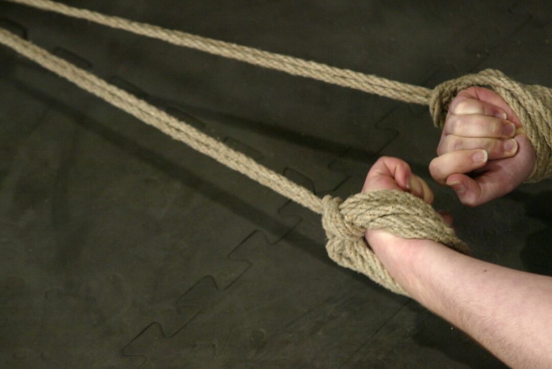21P Poeira Estelar Hogtied