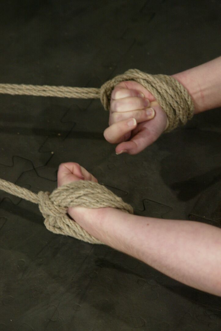 21P Poeira Estelar Hogtied
