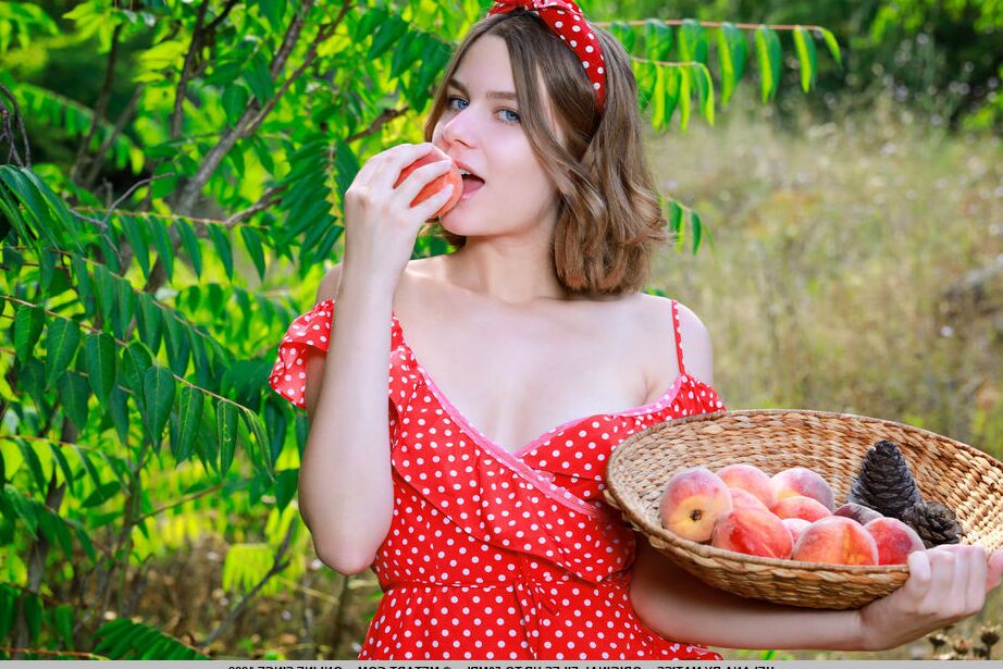 18P La sexy Helana está recogiendo melocotones en el huerto y el dulce sabor la despierta.