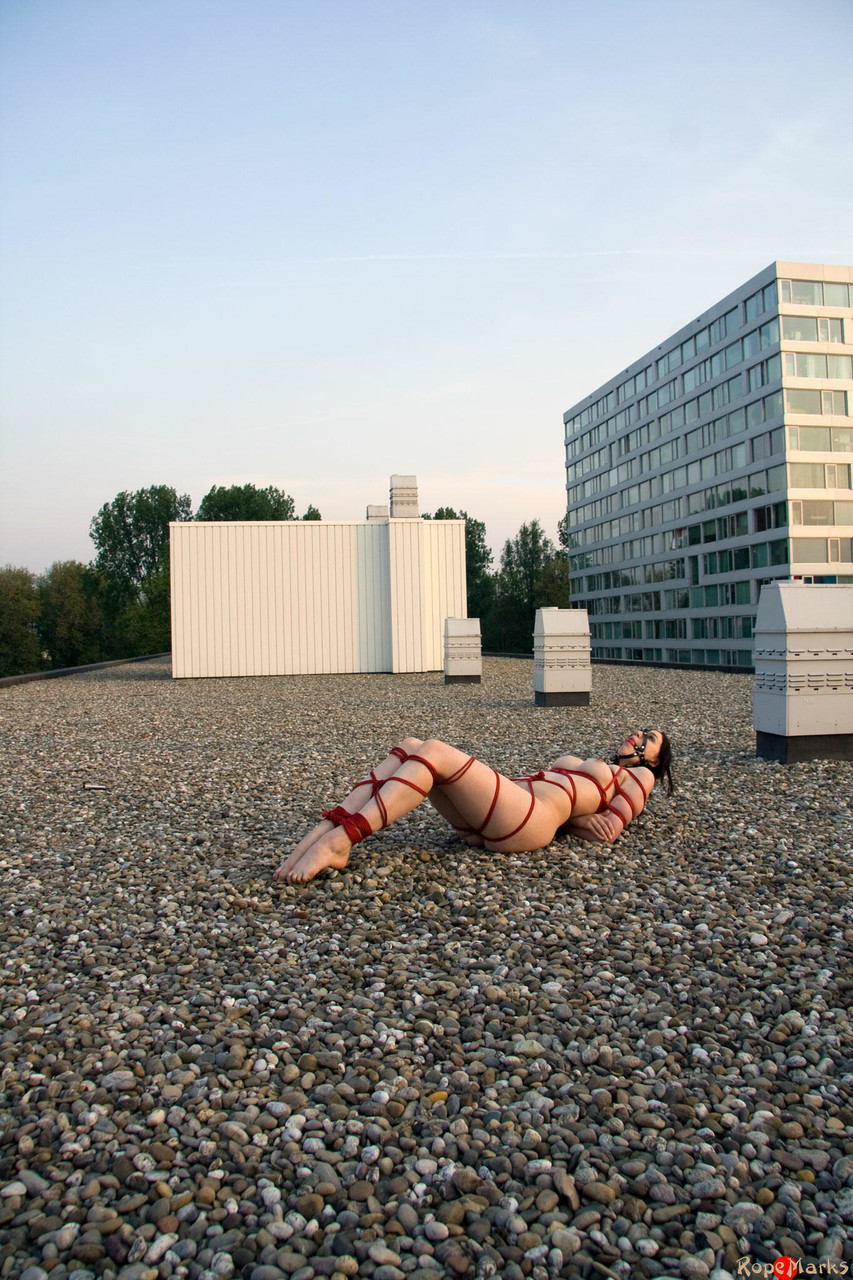 16P Atado a la azoteaAl aire libre, Bondage con cuerdas, Shibari