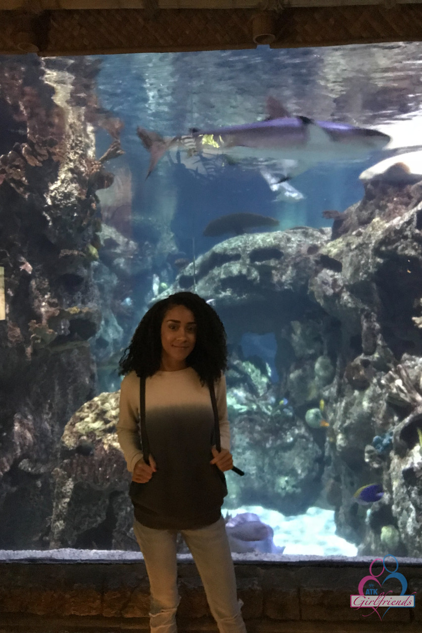 20P Curly haired ebony girlfriend Ariana Aimes strips & exposes her black curves