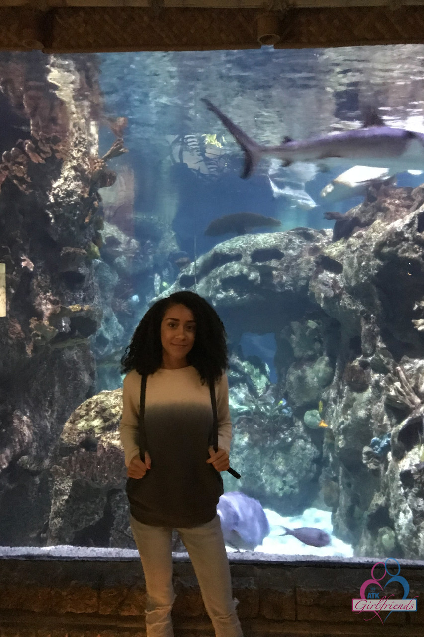 20P Curly haired ebony girlfriend Ariana Aimes strips & exposes her black curves