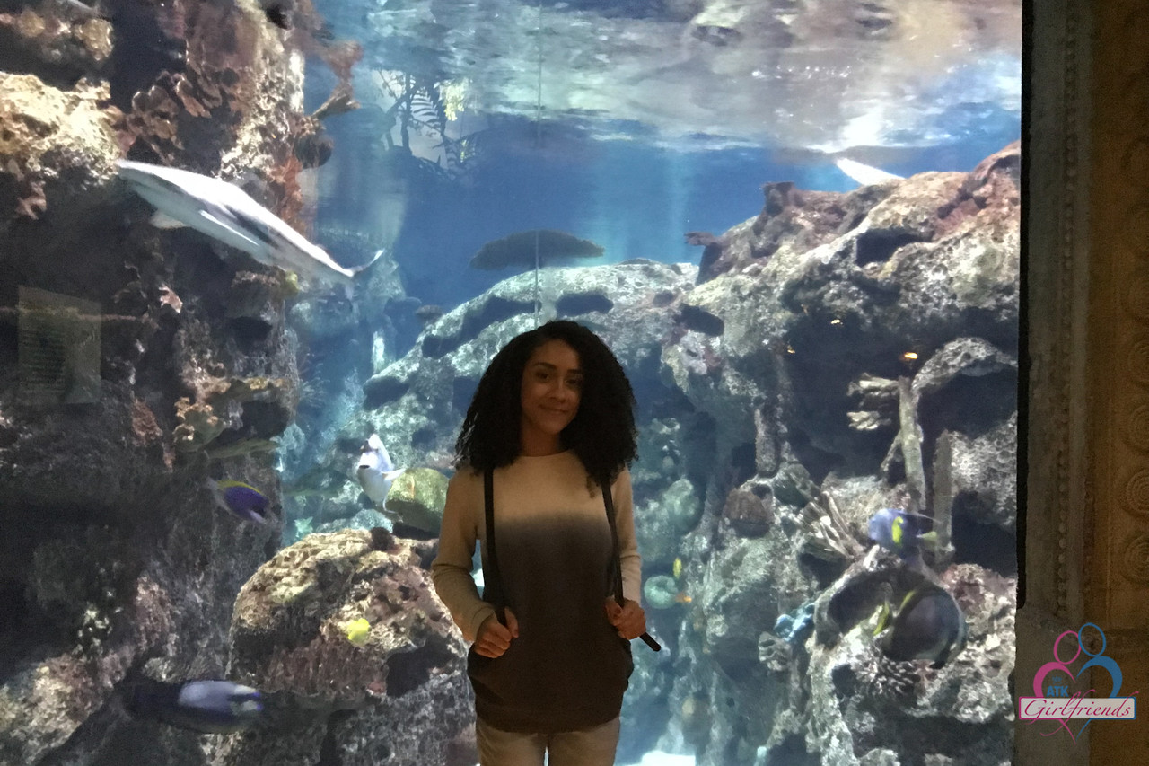 20P Curly haired ebony girlfriend Ariana Aimes strips & exposes her black curves