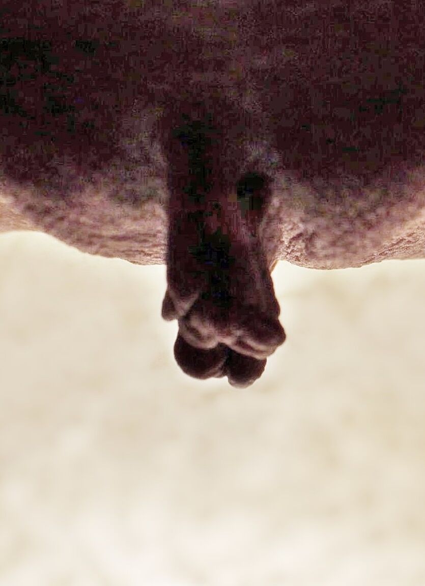 20P Abuela desinhibida muestra su clítoris maduro y protuberante en primeros planos extremos