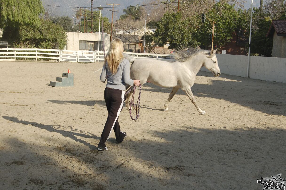 20 Fotos Loira Americana MILF Kayden Kross brinca com seu cavalo no rancho