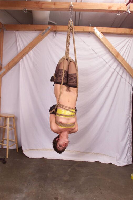 21 Fotos Hogtied Viva
