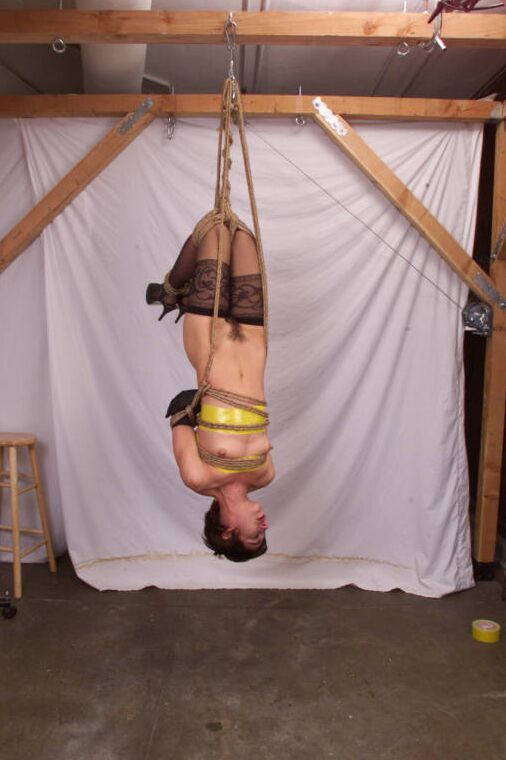 21 Fotos Hogtied Viva