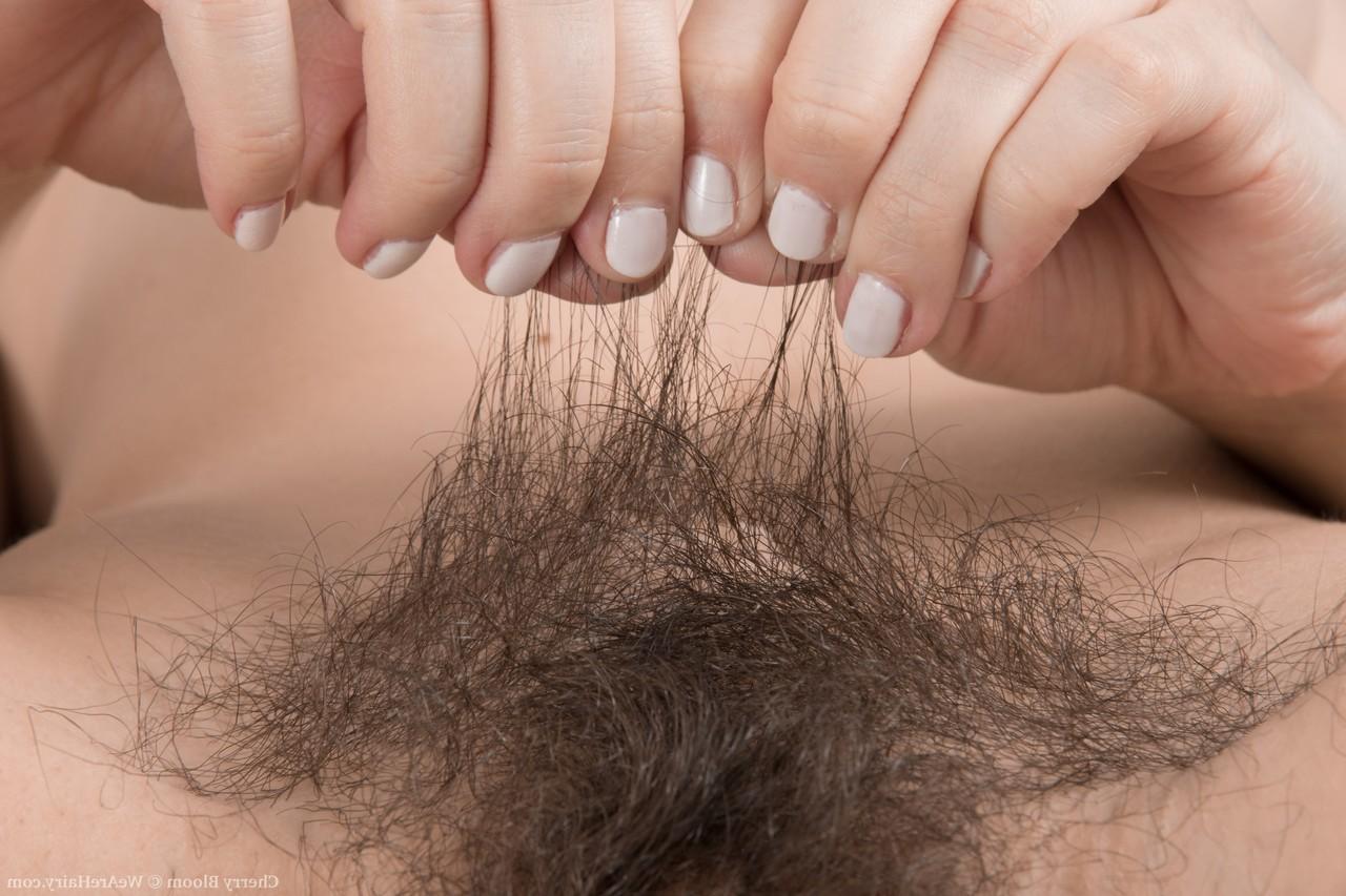 20P A namorada morena Cherry Bloom se despe para expor seu arbusto peludo