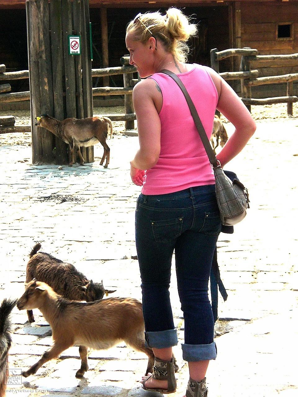 17P Kathia Nobili, une amatrice, laisse tomber son jean et exhibe ses fesses en public au zoo.