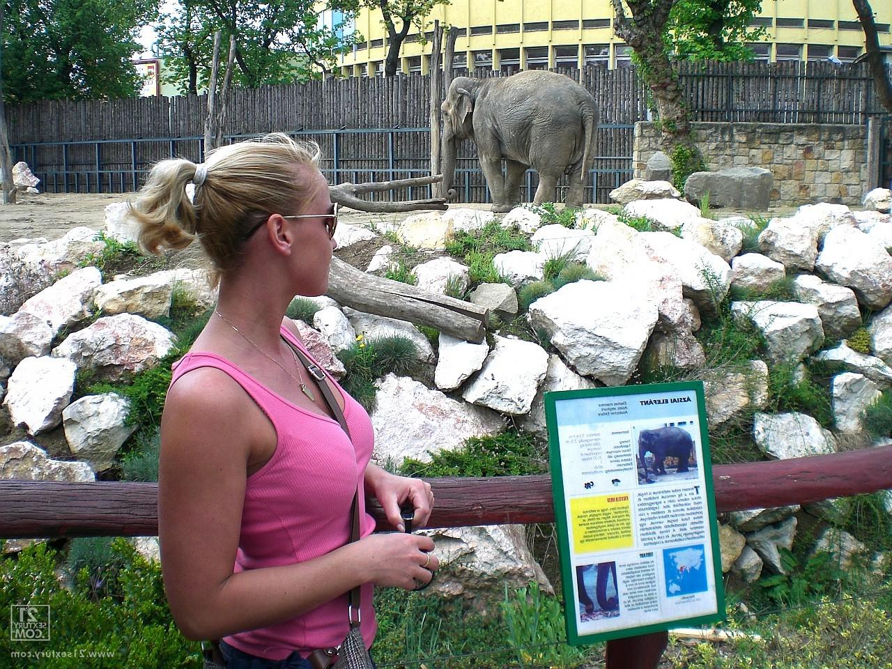 17P Kathia Nobili, une amatrice, laisse tomber son jean et exhibe ses fesses en public au zoo.