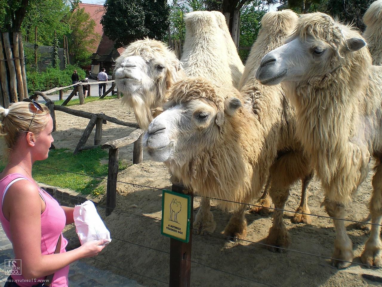 17P Kathia Nobili, une amatrice, laisse tomber son jean et exhibe ses fesses en public au zoo.