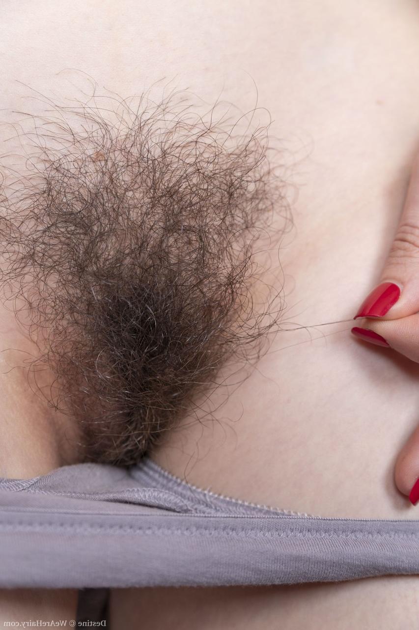 20P Destine, grande brune amateur, frotte doucement son vagin super poilu.