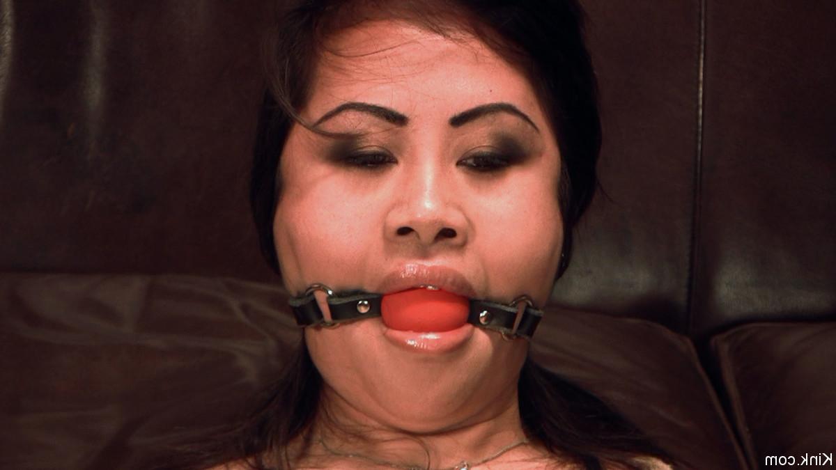 20P Anja Hogtied