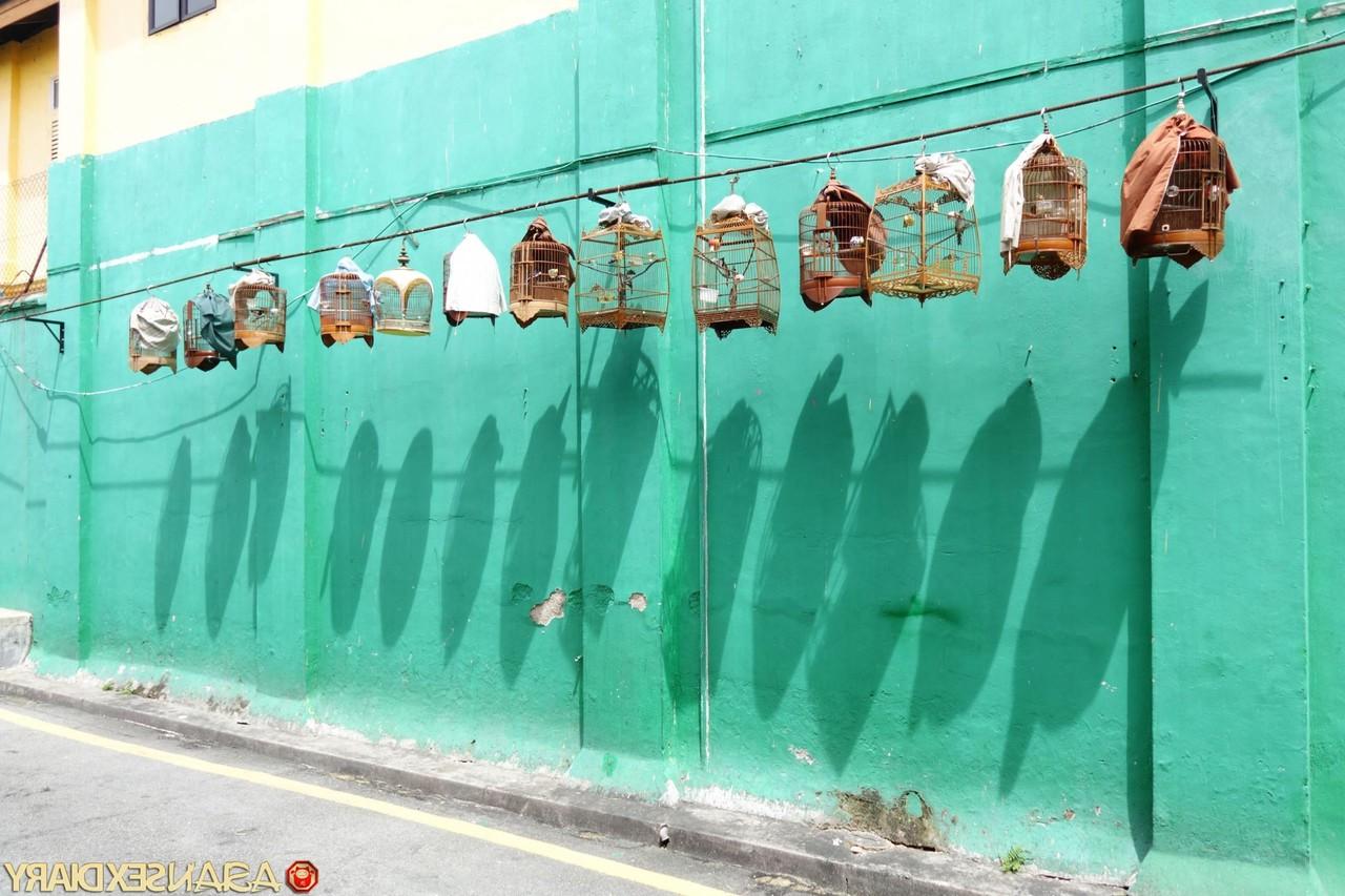 20P ぽっちゃりアジア人熟女デリマが間近でセックスしてコンピレーションでポーズをとる