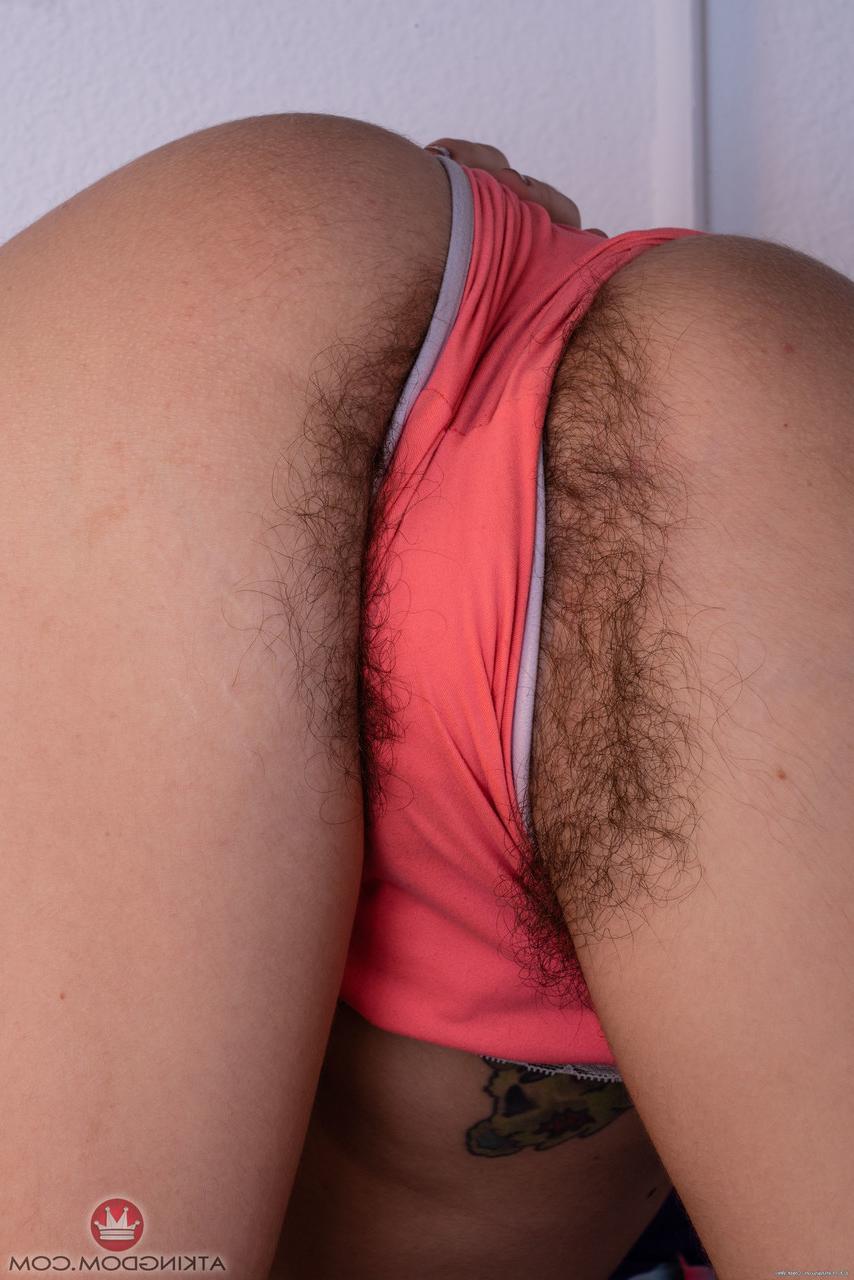 20P Pearl Sage, une fille mince et sexy, se déshabille et écarte sa chatte très poilue.
