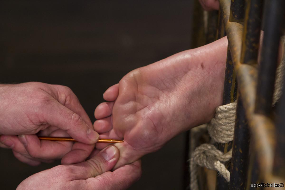 20P Sadistic Rope Delirious Hunter, Phoenix Marie