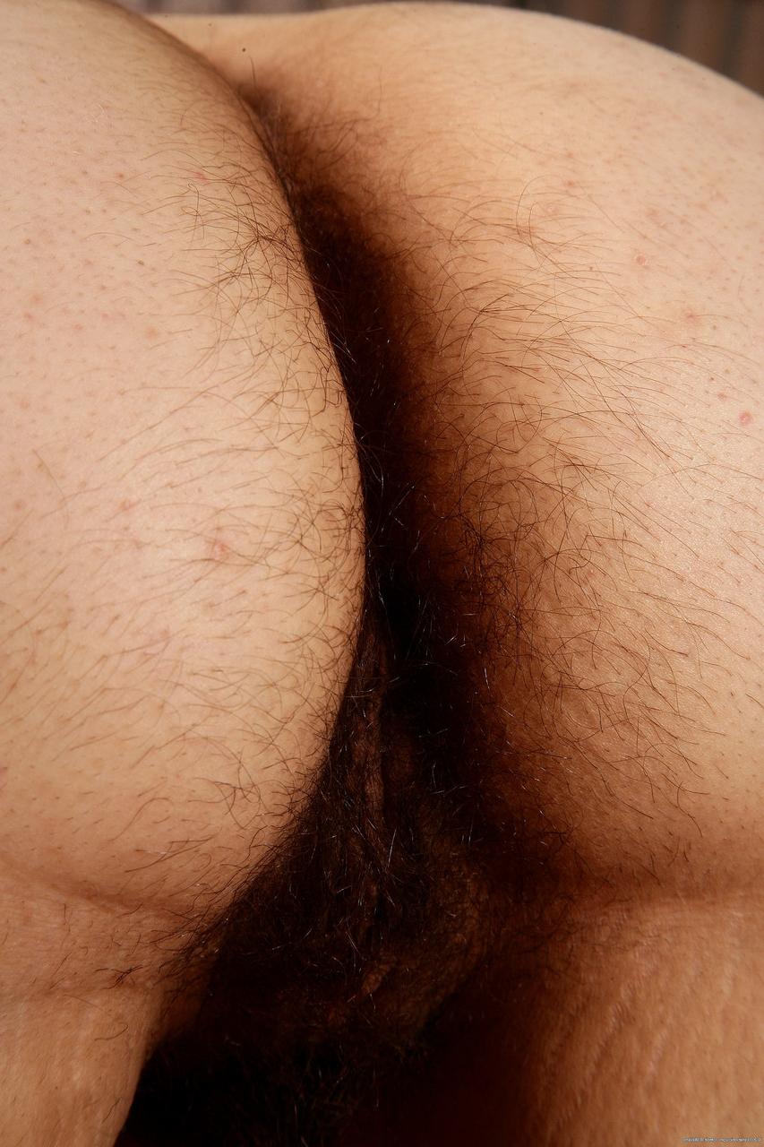 20P La morena Ashley Brewington muestra sus jugosas tetas y su peludo coño